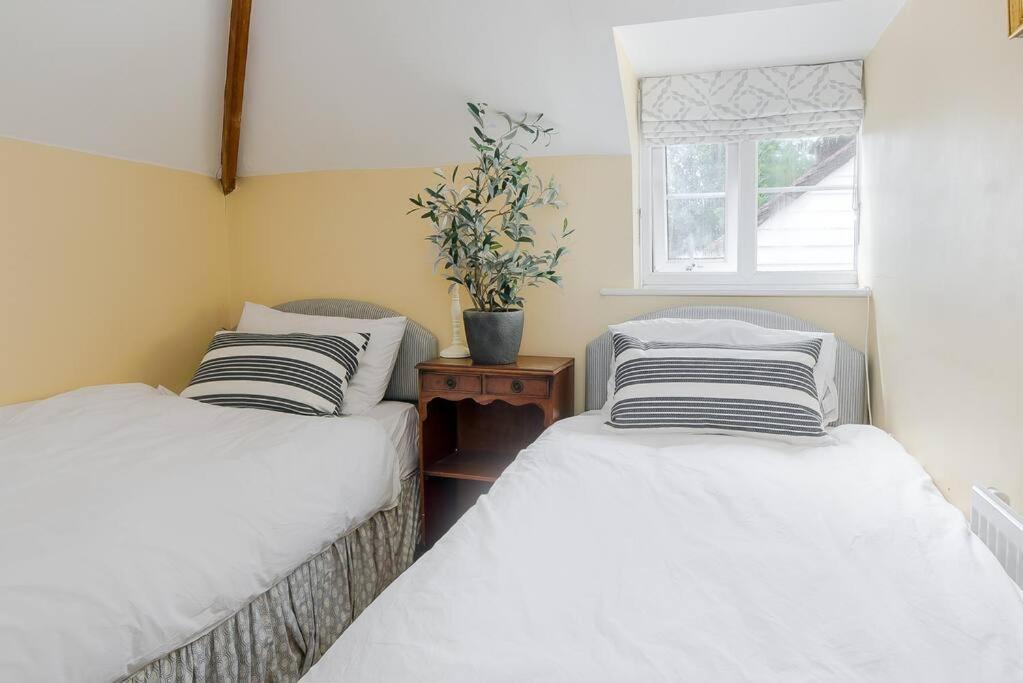 Adorable 2 Bedroom Guest House Hawkhurst Eksteriør billede